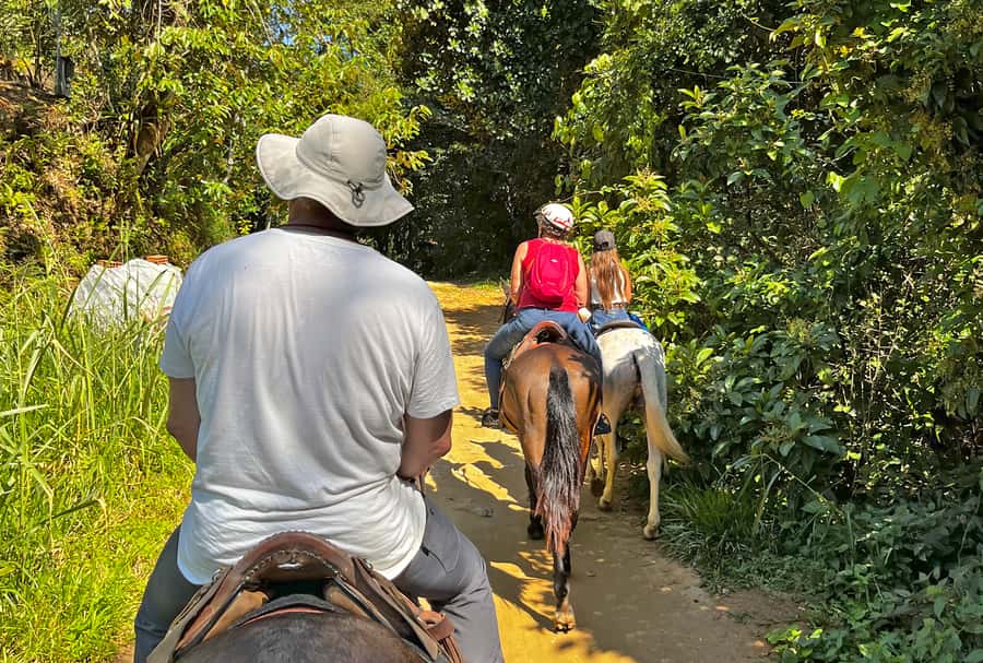 Paraty: 3-Hour Rainforest Horseback Ride - Waterfalls and bathing stops: when the rainforest turns playful