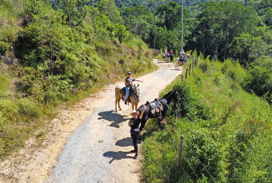 Paraty: 3-Hour Rainforest Horseback Ride - Lookouts over Paraty and Paraty Bay: where the best photos happen