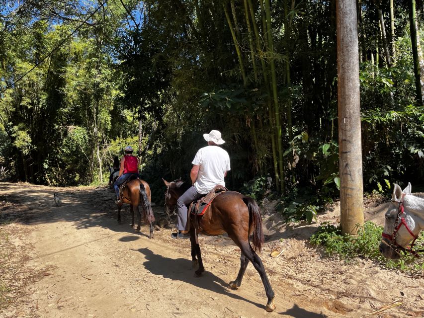 Paraty: 3-Hour Rainforest Horseback Ride - Price and value: what $120 includes, and what it doesn’t