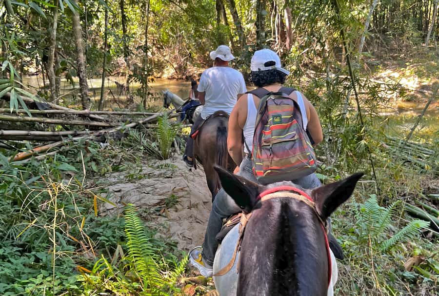Paraty: 3-Hour Rainforest Horseback Ride - What to bring (and what to wear) for a comfortable ride
