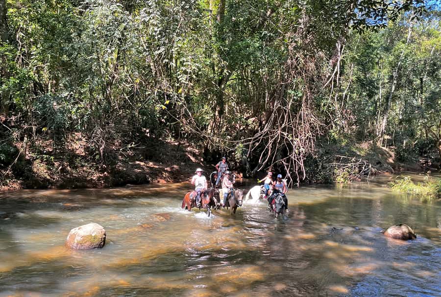 Paraty: 3-Hour Rainforest Horseback Ride - Who should book this ride in Paraty (and who should skip it)