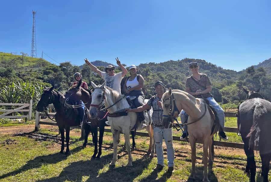 Paraty: 3-Hour Rainforest Horseback Ride - Serra da Bocaina National Park trails: forest, plains, and real animal country