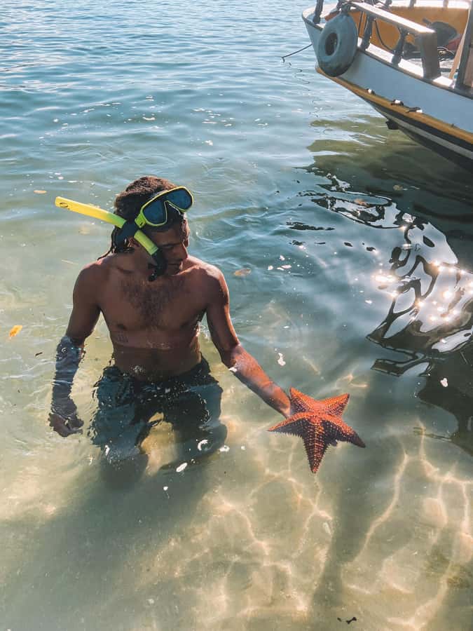 Paraty: A Private Speedboat Experience in Mamangua - Snorkeling, swimming, and what’s actually included