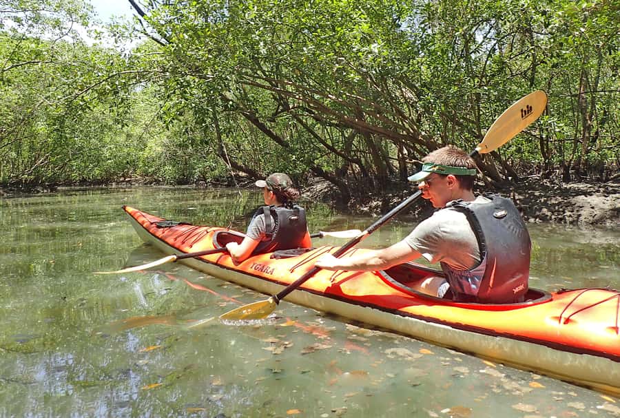 Paraty Bay: Half-Day Mangroves and Beaches Tour by Kayak - The Start: Double Kayaks, Safety Briefing, and Easy First Strokes