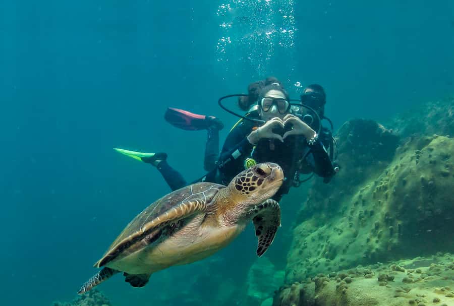 Paraty: Discovery Scuba Diving Experience for Beginners - Key things to know before you go