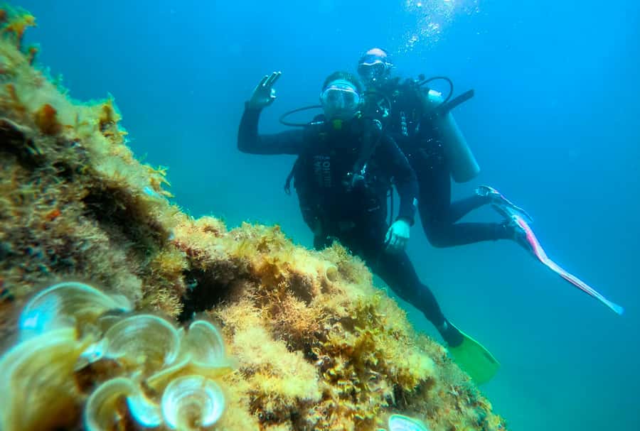 Paraty: Discovery Scuba Diving Experience for Beginners - Getting comfortable in the water: where first-timers improve fast