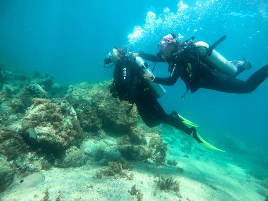 Paraty: Discovery Scuba Diving Experience for Beginners - Price and value: is $150 worth it for beginners?