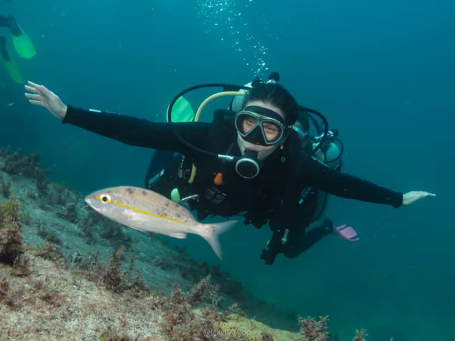 Paraty: Discovery Scuba Diving Experience for Beginners - The full 5-hour rhythm: from office to marina to warm water