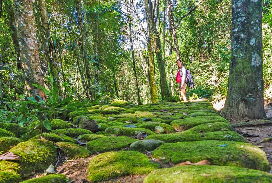 Paraty: Gold Trail Rainforest Hiking Tour - Key things to know before you go