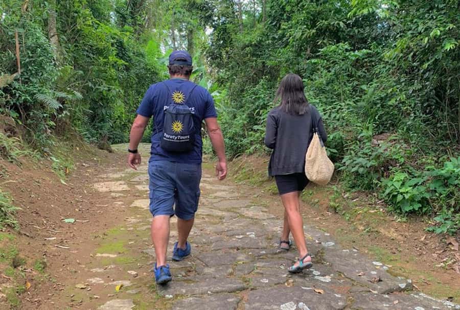 Paraty: Gold Trail Rainforest Hiking Tour - The 3.6 km hike in Serra da Bocaina National Park