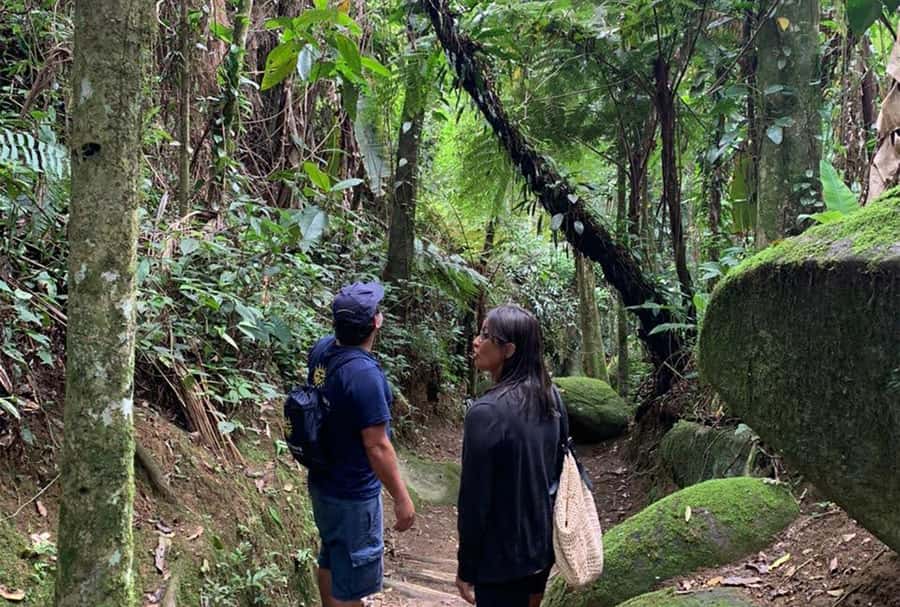 Paraty: Gold Trail Rainforest Hiking Tour - The Gold Trail stories: tropeiros, donkeys, and the gold race