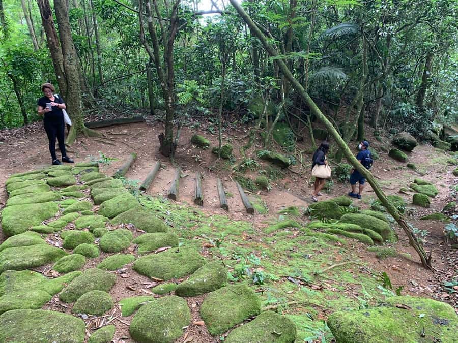 Paraty: Gold Trail Rainforest Hiking Tour - Price and group size: is $75 per person good value?