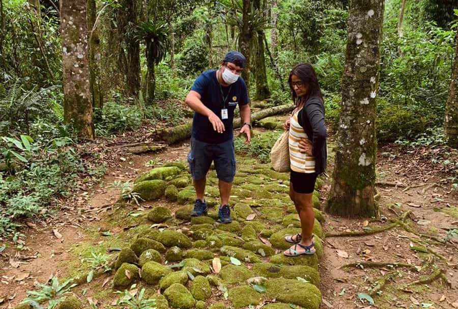 Paraty: Gold Trail Rainforest Hiking Tour - What to bring for comfort on a medium-level rainforest hike