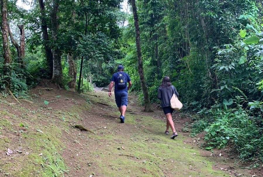 Paraty: Gold Trail Rainforest Hiking Tour - Who should book this Paraty Gold Trail tour, and who should skip it