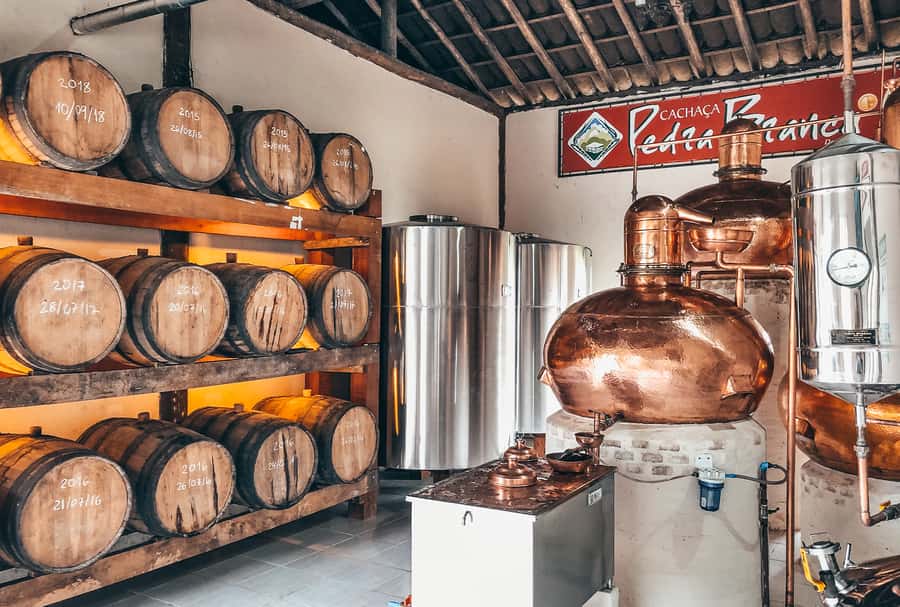 Paraty: Jungle Waterfalls and Cachaça Distillery Jeep Tour - Who this tour is best for