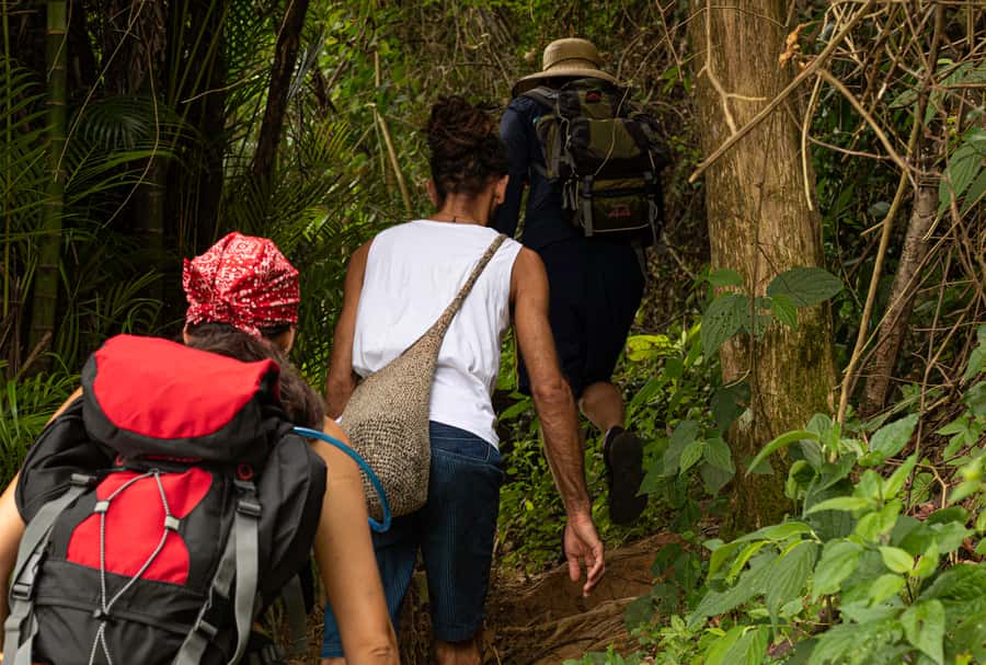 Paraty: Pão de Açucar Peak Trekking and Hiking Tour - Who Should Book and Who Should Skip This Pão de Açúcar Trek