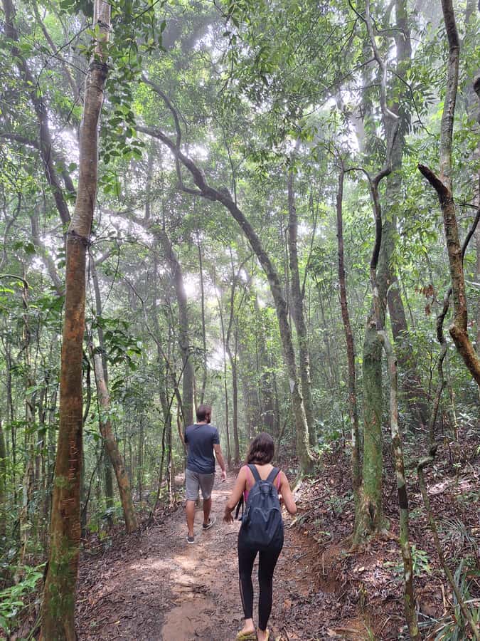 Pedra Bonita Trail: The easiest trail with a beautiful view of Rio - Pedra Bonita Trail: the easy hike that shows you real Rio