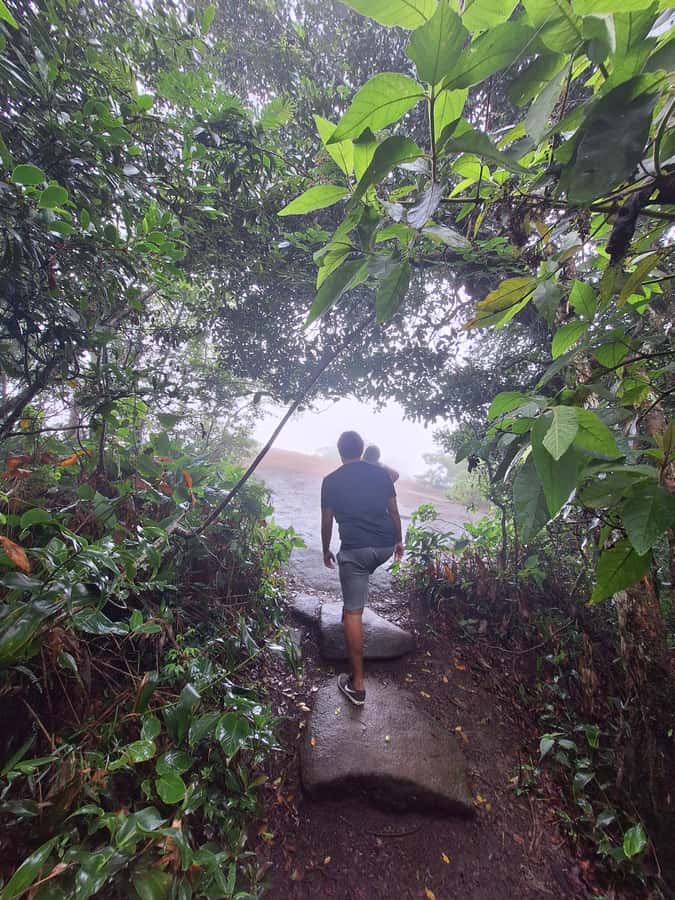 Pedra Bonita Trail: The easiest trail with a beautiful view of Rio - Before you climb: using the snack bar smartly