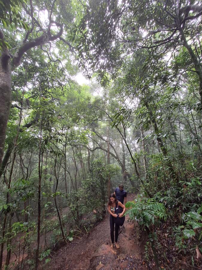 Pedra Bonita Trail: The easiest trail with a beautiful view of Rio - What’s included in the price (and what you pay for separately)