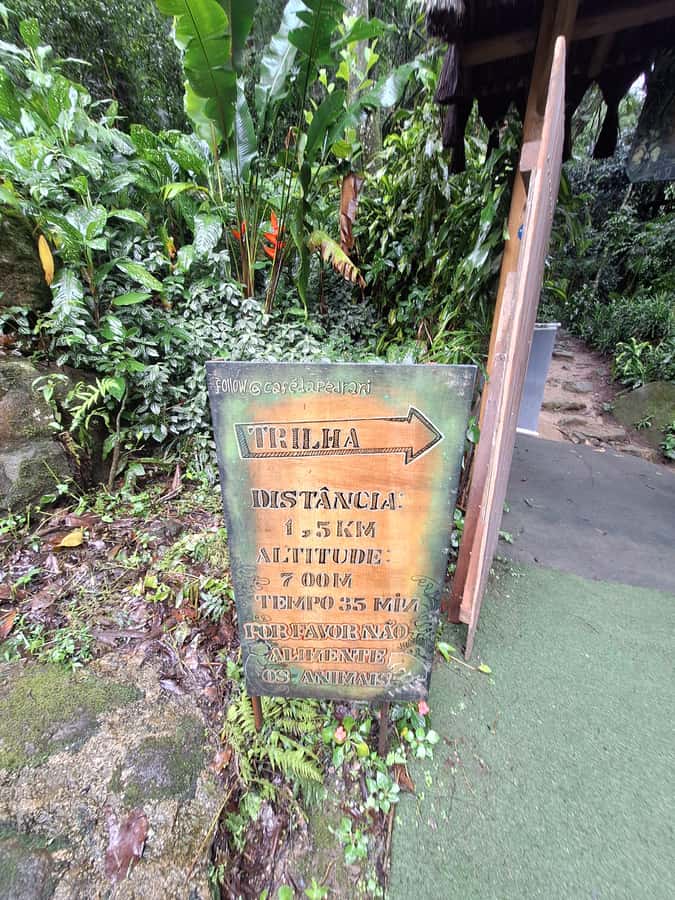 Pedra Bonita Trail: The easiest trail with a beautiful view of Rio - Who should book Pedra Bonita and who should skip it