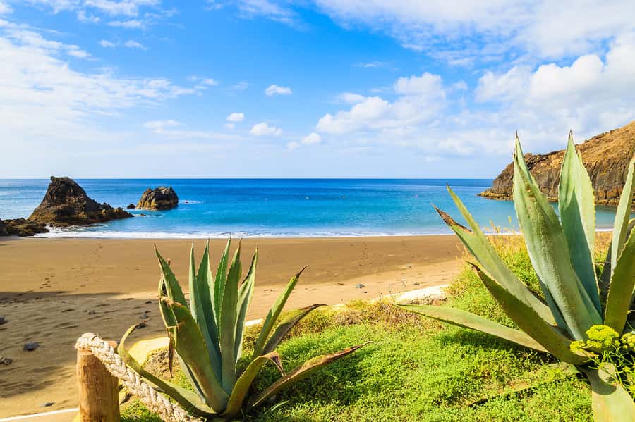 Pedra do Telégrafo Hike and Beach Full-Day Tour - Price and logistics: what’s included, what you provide, and what it’s really like