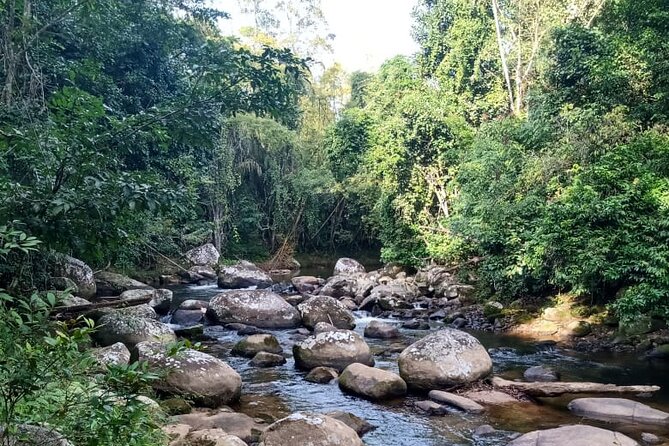 Private Bike Tour in Paraty - Key highlights worth aiming for