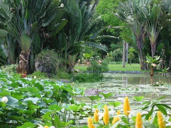 Private Half-Day Must Sees: Your Last Minute Booking in Rio! - Why This Private Half-Day Works So Well in Rio