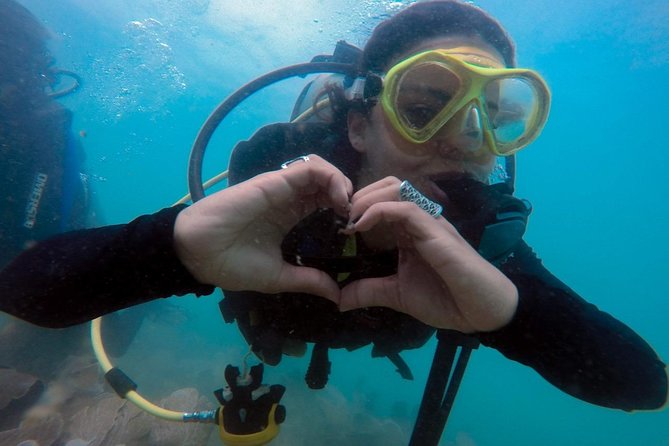 Private Program for Accredited Diver in Búzios - The natural pool and marine life you can realistically hope to see