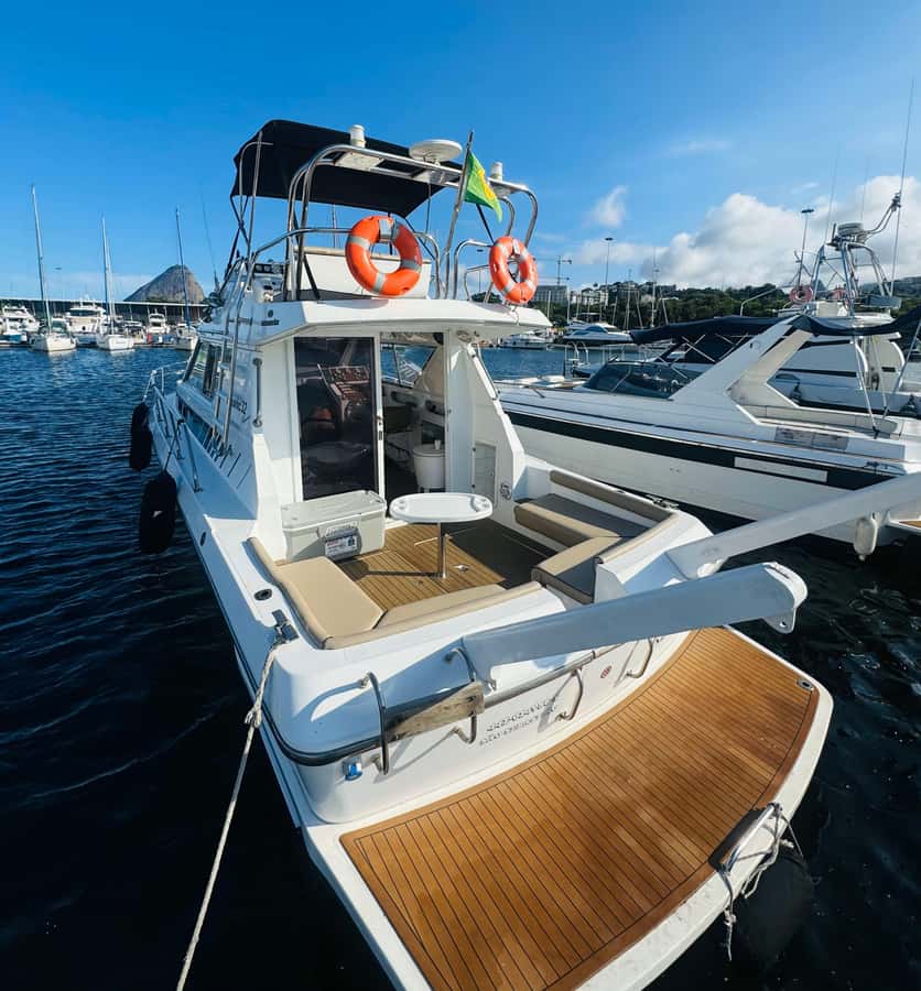 Private speedboat tour in Rio de Janeiro - The Boat Setup: Two Floors, Grill, Sound System, and Room to Spread Out