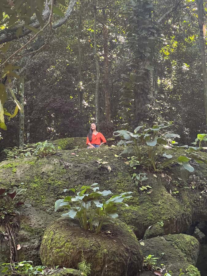 Private Tijuca Forest & Botanical Garden Guided Tour - Key highlights worth knowing