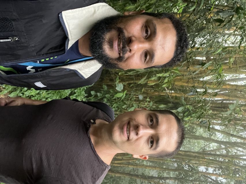 Private Tijuca Forest & Botanical Garden Guided Tour - What to bring: your “forest kit” for a comfortable 5 hours