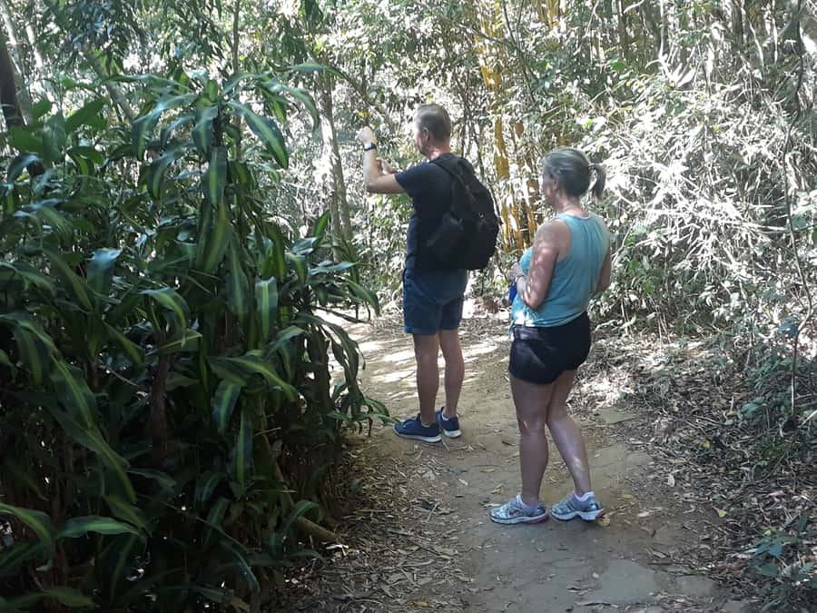 Private Tijuca Forest & Botanical Garden Guided Tour - Why the guide experience makes or breaks this tour