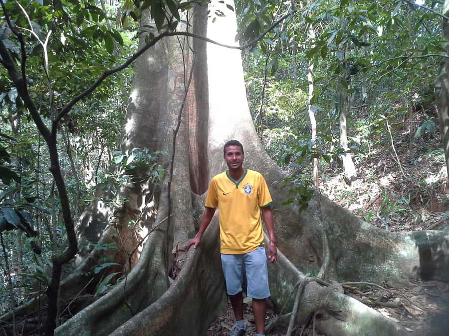 Private Tijuca Forest & Botanical Garden Guided Tour - How the 5-hour flow works: viewpoint, forest trail, then the Botanical Garden