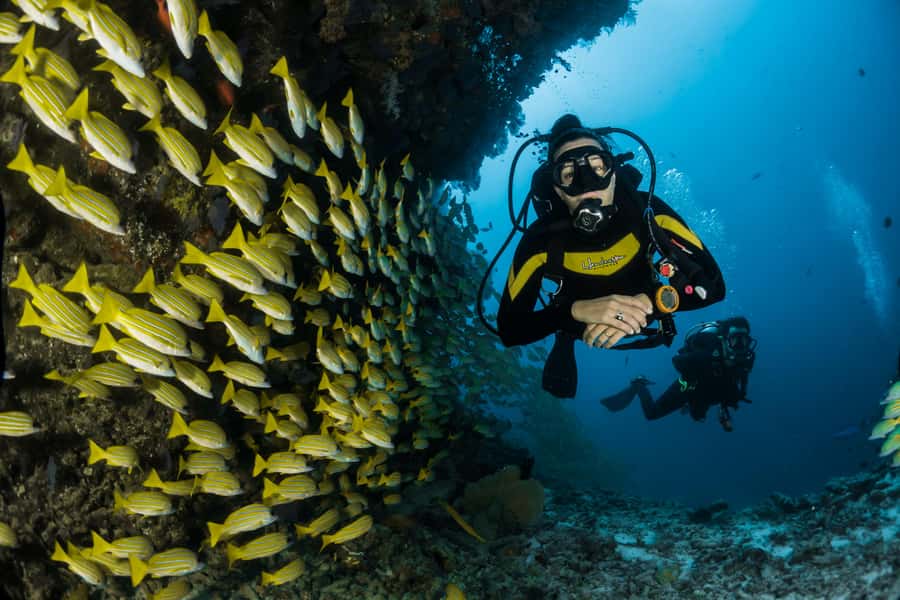 Rio: Best Dive Experience All Inclusive Scuba Diving Package - Key things that make this trip work