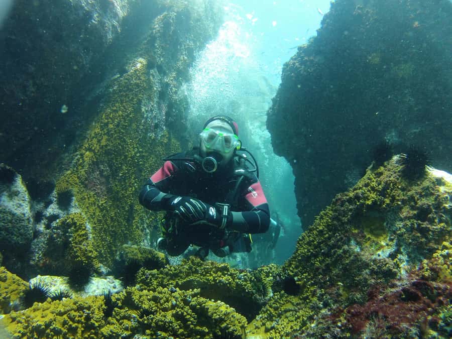 Rio: Best Dive Experience All Inclusive Scuba Diving Package - How the day adapts: starter experience vs certified underwater sessions