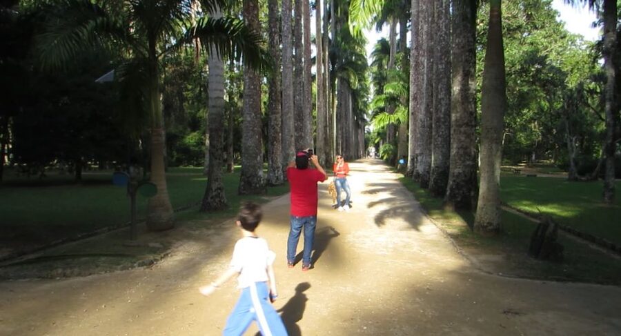 Rio: Botanical Garden, Tijuca Forest, and Parque Lage Tour - What to bring, plus comfort tips for the walks