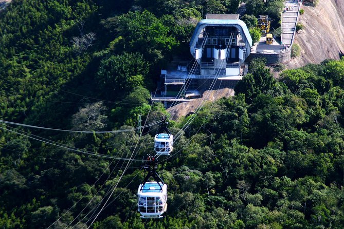 Rio by Day - Main Sights Tour - Hotel Pickup, Group Size, and Why the 8:00 AM Start Works