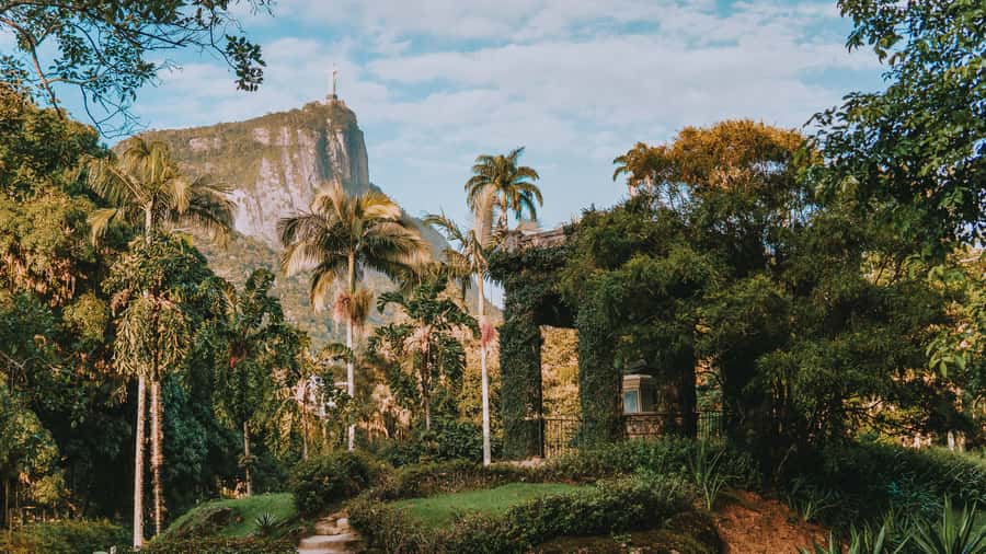Rio de Janeiro: 4-Hour Botanical Garden & Tijuca Forest Tour - What makes this Rio nature-and-views tour work
