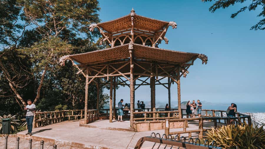 Rio de Janeiro: 4-Hour Botanical Garden & Tijuca Forest Tour - Who should book this Rio Botanical Garden and Tijuca tour