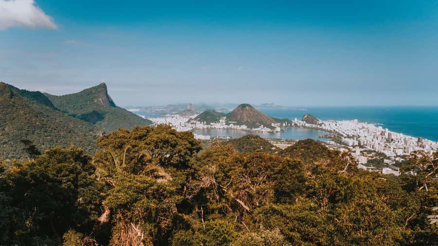 Rio de Janeiro: 4-Hour Botanical Garden & Tijuca Forest Tour - Should you book this tour?