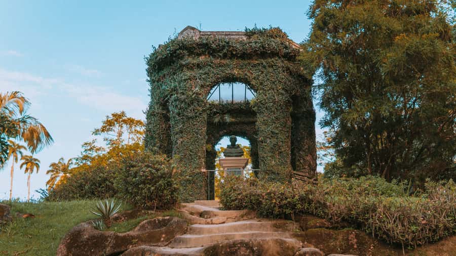 Rio de Janeiro: 4-Hour Botanical Garden & Tijuca Forest Tour - Vista Chinesa gazebo: the weekday-only skyline you’ll remember