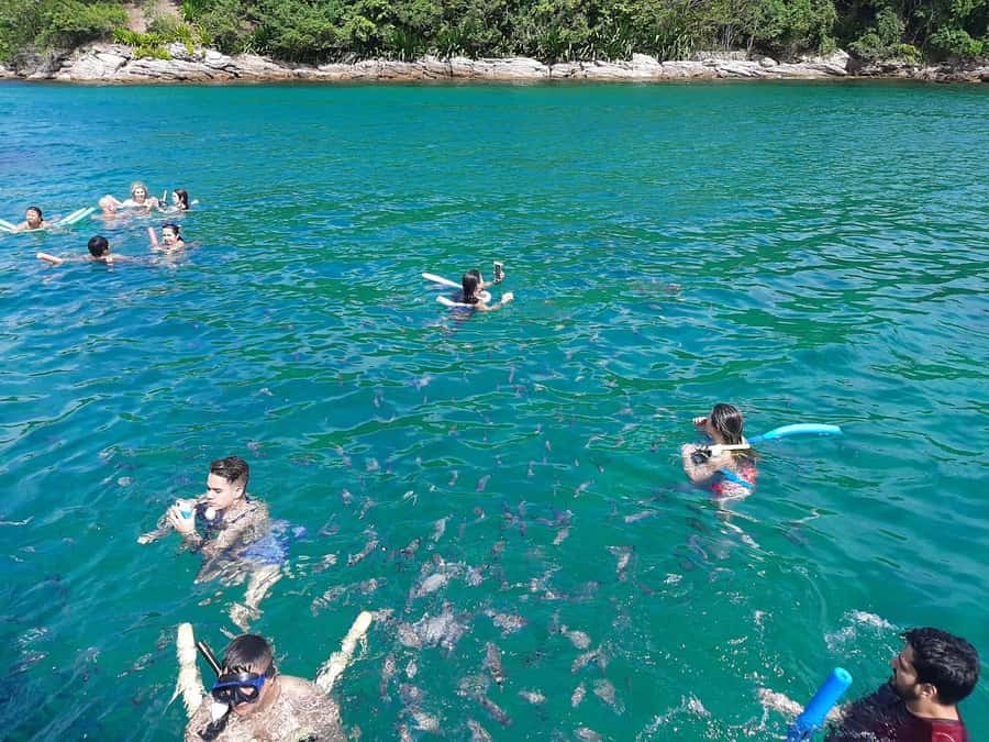 Rio de Janeiro: Angra dos Reis and Ilha Grande Full-Day Tour - Guides, groups, and extra activities on the water