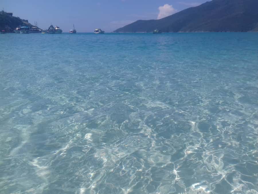 Rio de Janeiro: Arraial do Cabo Scuba Diving Day Trip - Underwater conditions and what the 6–35 m range really means