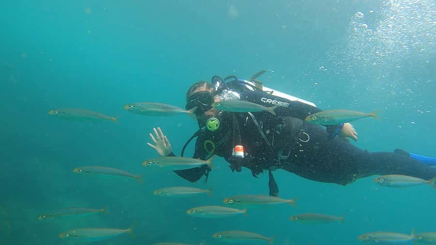 Rio de Janeiro: Arraial do Cabo Scuba Diving Day Trip - Lunch break, beach views, and the part that people forget