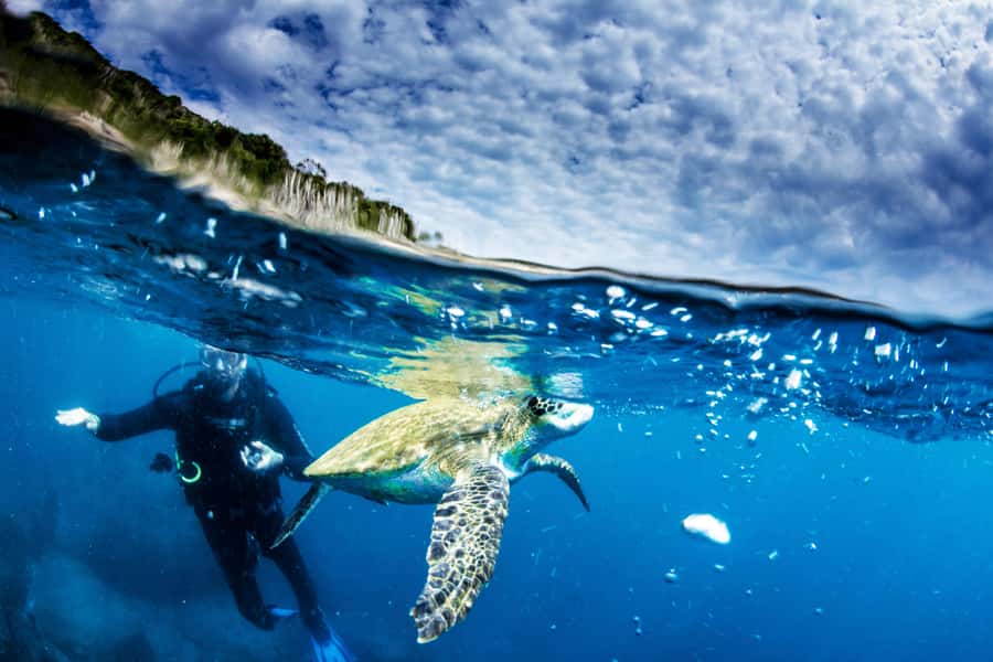 Rio de Janeiro: Arraial do Cabo Scuba Diving Day Trip - Price and value: what you’re paying for, and what to watch for
