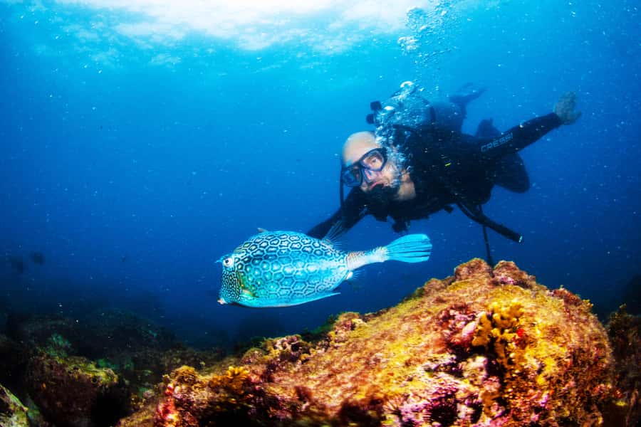 Rio de Janeiro: Arraial do Cabo Scuba Diving Day Trip - Timing and logistics: 10 hours that mostly revolve around getting there