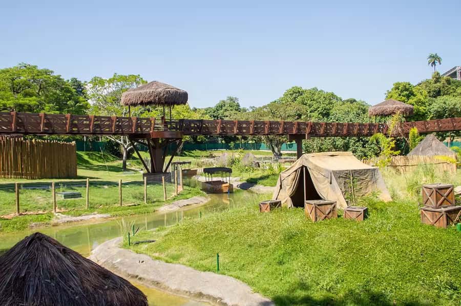 Rio de Janeiro: BioParque Guided Tour with Transfer - BioParque Isn’t a Typical Zoo: Why the concept matters