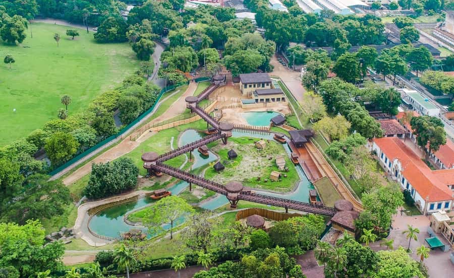 Rio de Janeiro: BioParque Guided Tour with Transfer - What conservation and animal welfare looks like here
