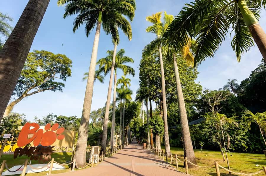 Rio de Janeiro: BioParque Guided Tour with Transfer - Price and value: is $58 fair for 4 hours in Rio?