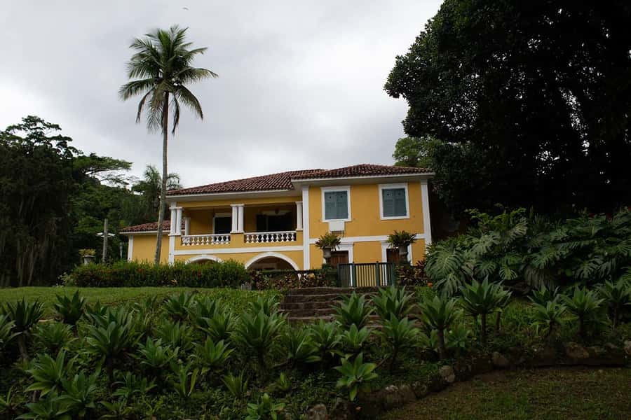 Rio de Janeiro: Botanical Garden & Tijuca Forest Guided Tour - Time management: how 4 hours plays out (and where it can feel rushed)